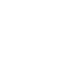 Background Check Icon